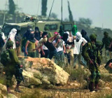 تقدير موقف: العنف الاستيطاني في الضفة الغربية توظيف الحرب الايرانية لتعزيز الهيمنة الاسرائيلية