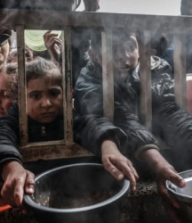 غزة والحرب.. محاولة لتدوين الألم