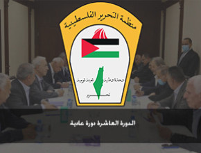 الدورة العاشرة دورة عادية (اكتوبر 1991)