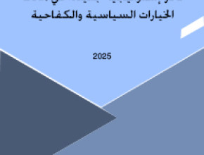 نحو إستراتيجية جديدة: في مآلات الخيارات السياسية والكفاحية الفلسطينية
