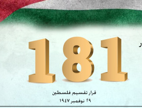 قرار التقسيم قراءة في المضمون القانوني
