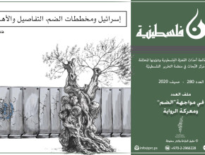 إسرائيل ومخططات الضم، التفاصيل والأهداف
