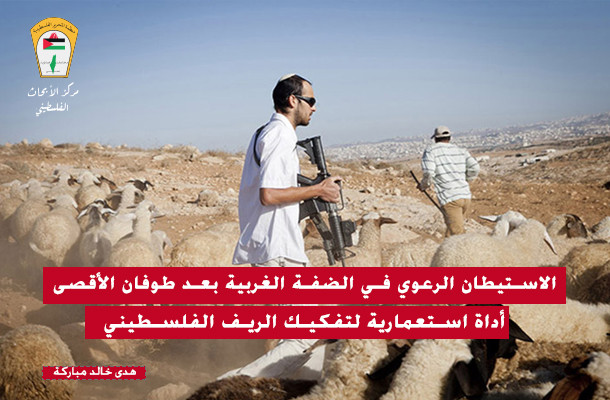 الاستيطان الرعوي في الضفة الغربية بعد «طوفان الأقصى»: أداة استعمارية لتفكيك الريف الفلسطيني