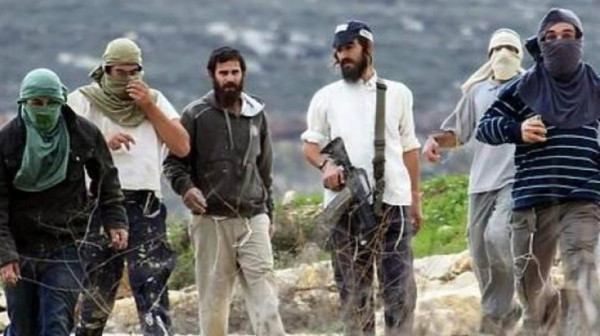 جباية الثمن اعتداءات المستوطنين على الفلسطينيين في الضفة الغربية