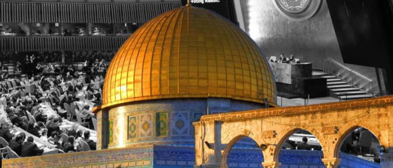 القرارات الأممية والقضية الفلسطينية
