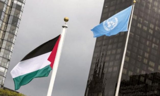 قرارات الجمعية العامة بشأن رفع العلم الفلسطيني فوق مقرات هيئة الأمم المتحدة 2015
