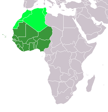 تحولات المواقف الإفريقية تجاه القضية الفلسطينية (2010-2020) دول غرب أفريقيا نموذجاً
